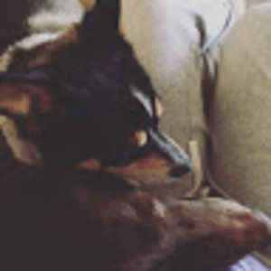 Meet your Posher, Stacey